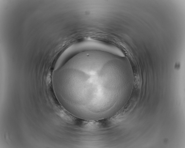 X0000091010621200708091603