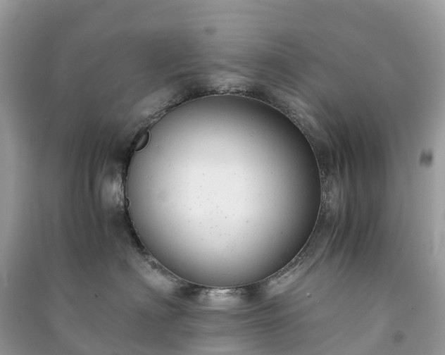 X0000091010622200708091603