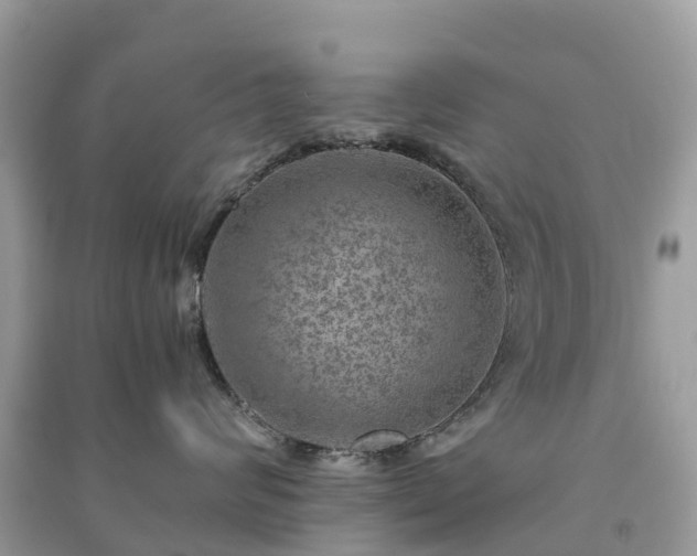 X0000091010624200708091603