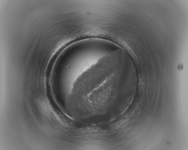 X0000091010626200708091602