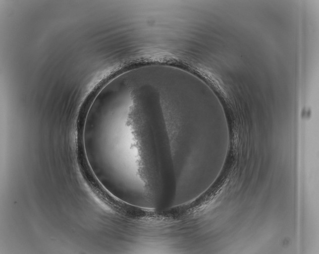 X0000091010630200708091602