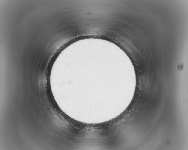 X0000091010632200708091602