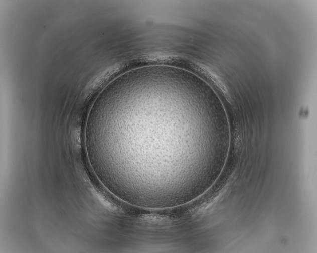 X0000091010633200708091602