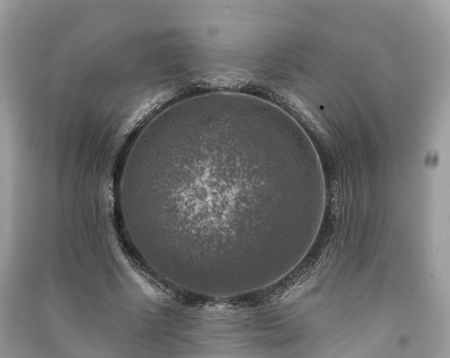 X0000091010634200708091602