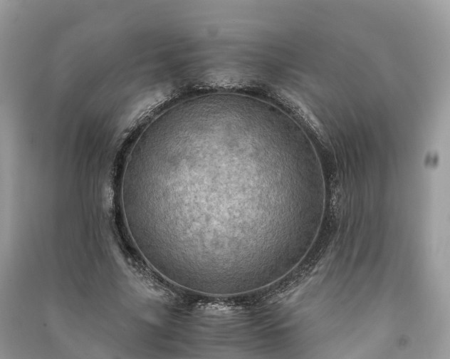 X0000091010635200708091602