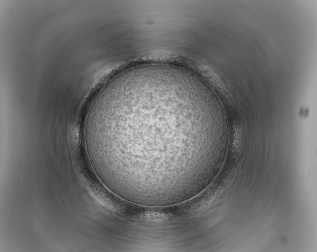 X0000091010636200708091602