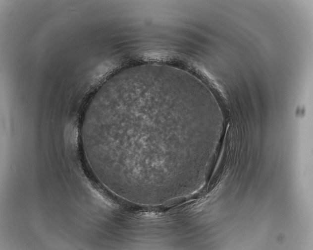 X0000091010637200708091602