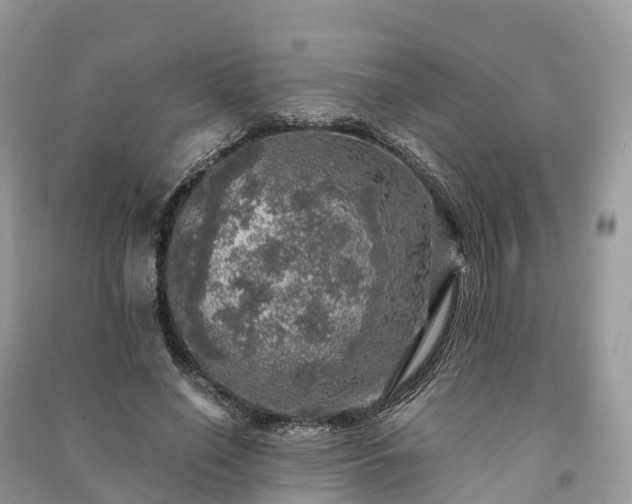 X0000091010638200708091602