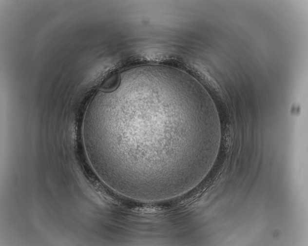 X0000091010639200708091602