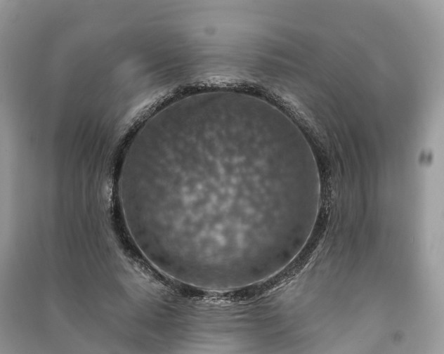 X0000091010640200708091602