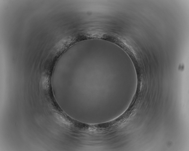 X0000091010641200708091602