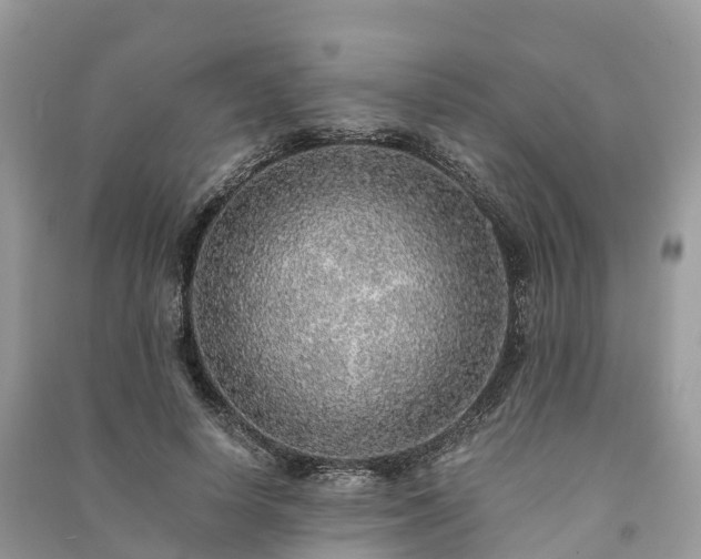 X0000091010642200708091602