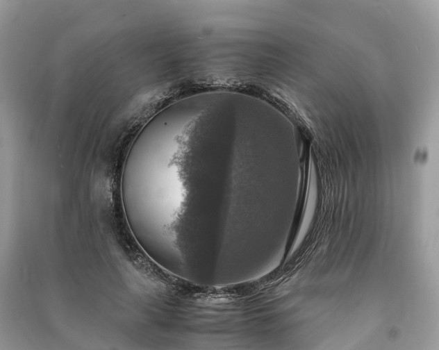 X0000091010643200708091602