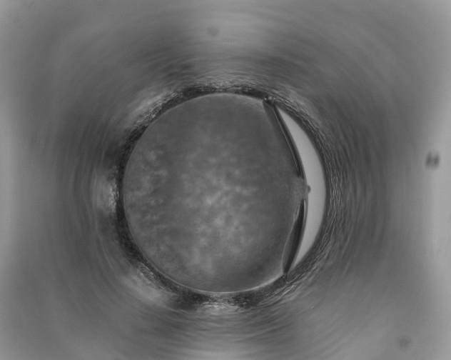 X0000091010644200708091602