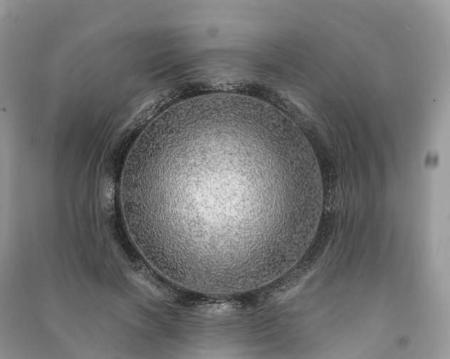 X0000091010646200708091602