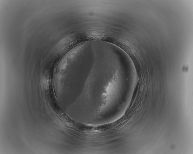 X0000091010647200708091602