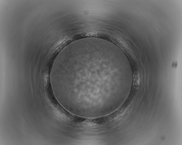 X0000091010648200708091602