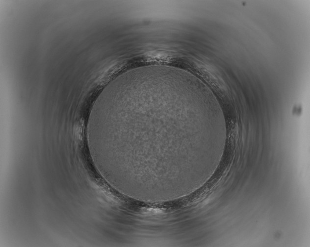 X0000091010649200708091602