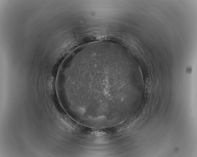 X0000091010650200708091602