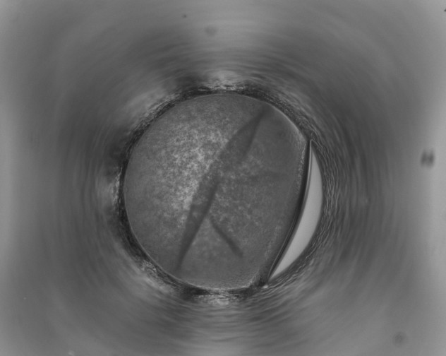 X0000091010652200708091602