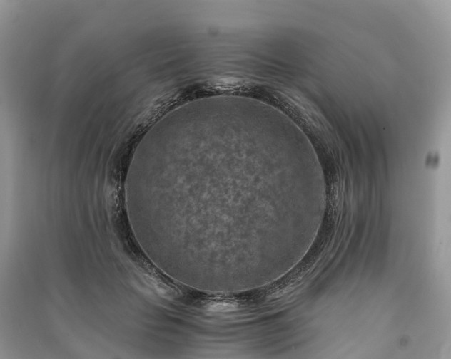 X0000091010653200708091602