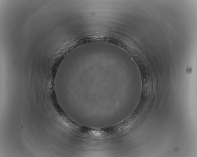 X0000091010654200708091602