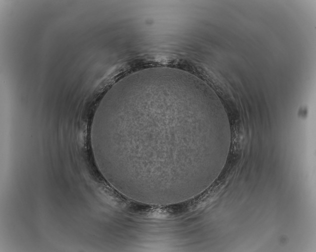 X0000091010656200708091602