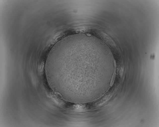 X0000091010660200708091603
