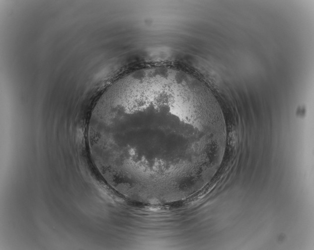 X0000091010662200708091603