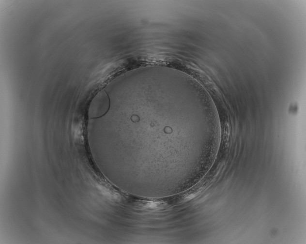 X0000091010663200708091603
