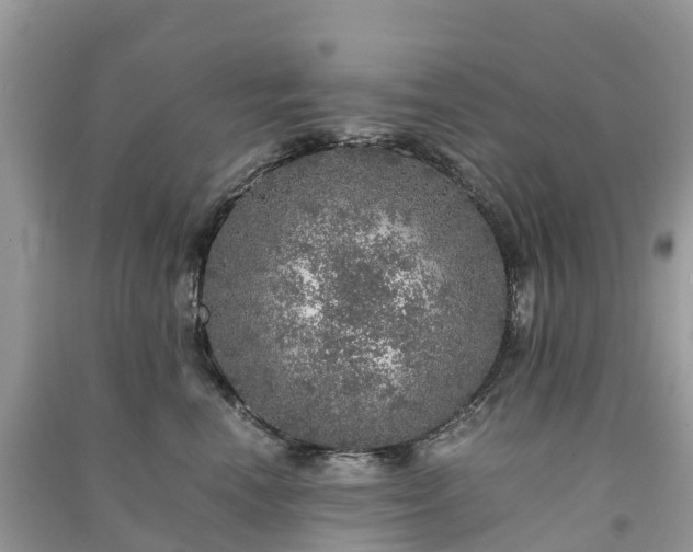 X0000091010666200708091603