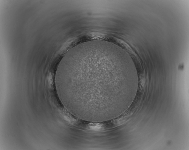 X0000091010667200708091603