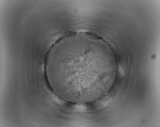 X0000091010668200708091603