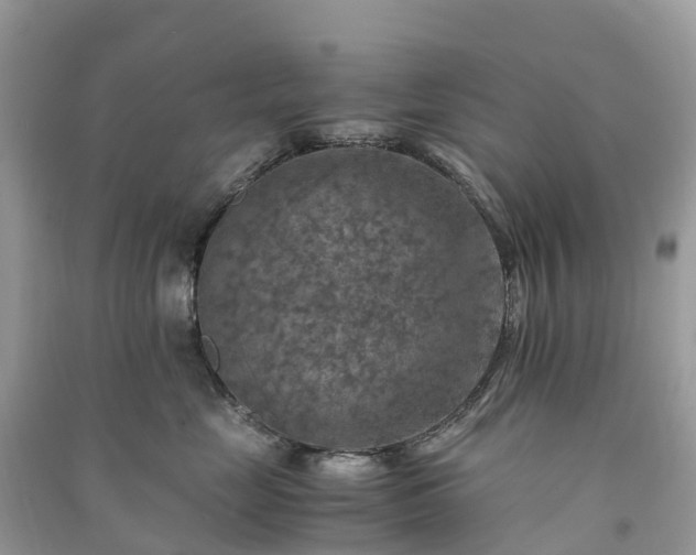 X0000091010669200708091603