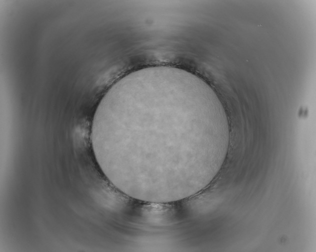 X0000091010672200708091603