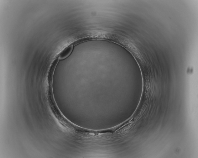 X0000091010674200708091602