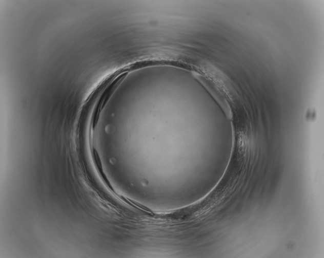 X0000091010676200708091602