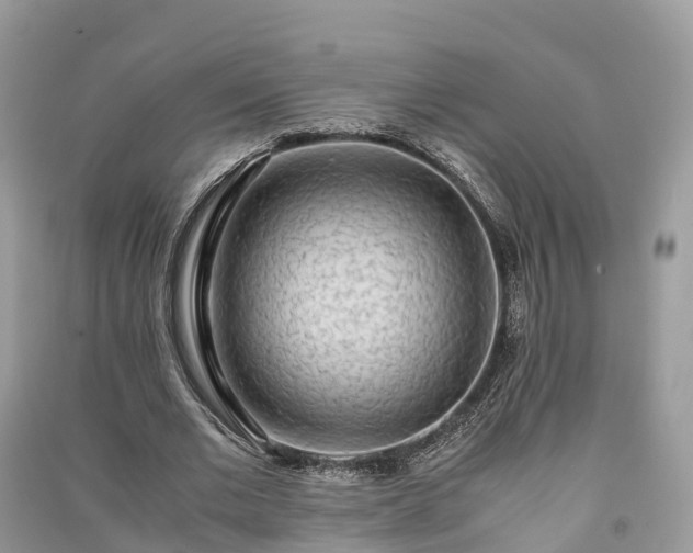 X0000091010677200708091602