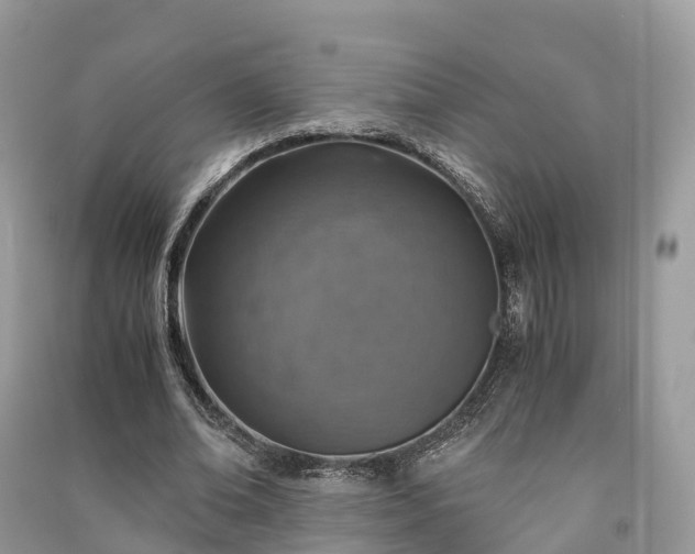X0000091010678200708091602