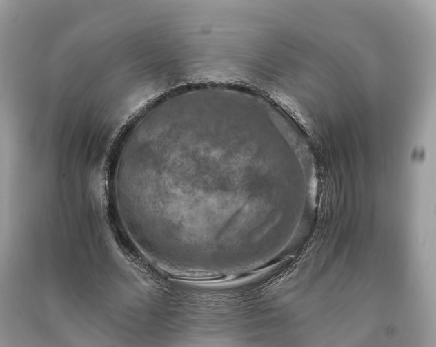 X0000091010680200708091602