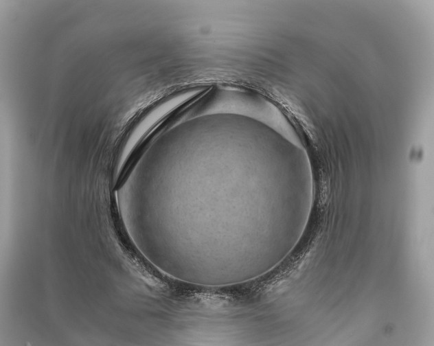 X0000091010681200708091602