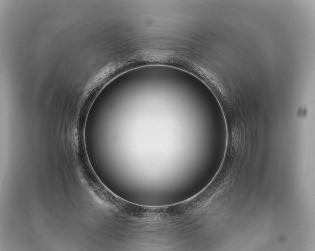 X0000091010682200708091602