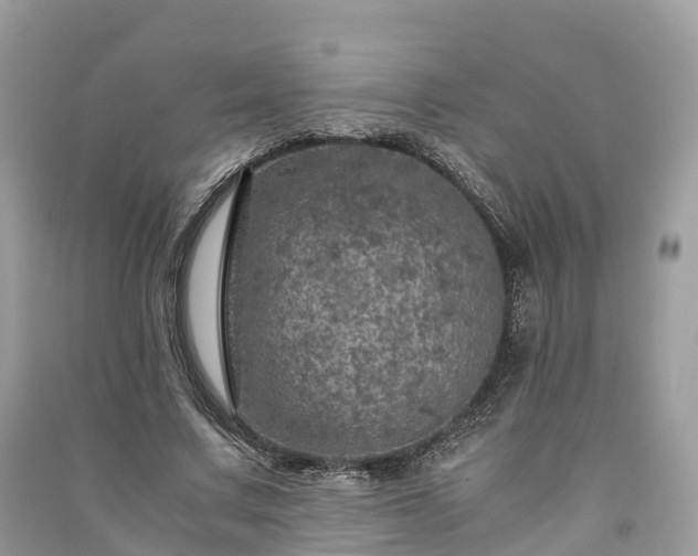 X0000091010683200708091602