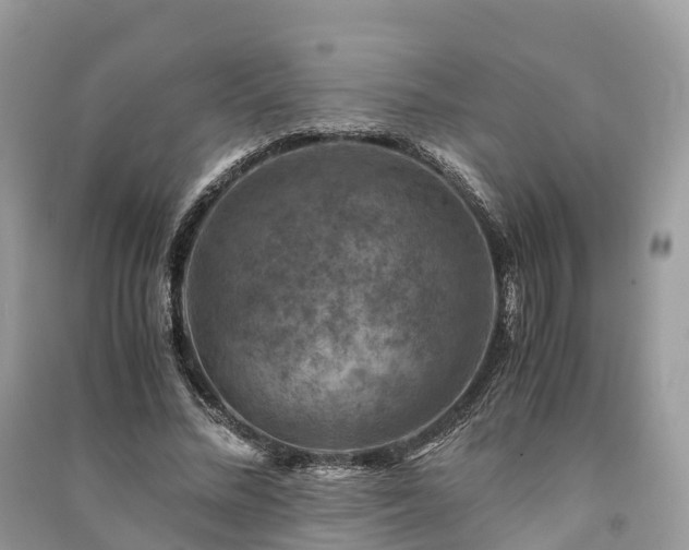 X0000091010684200708091602