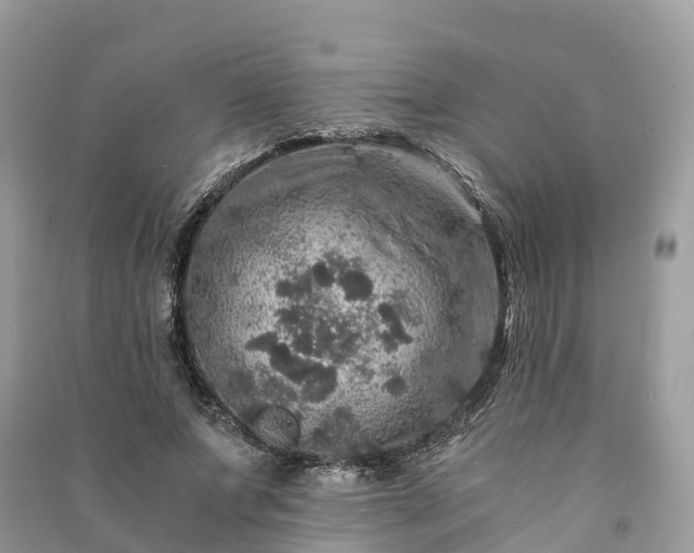 X0000091010687200708091602