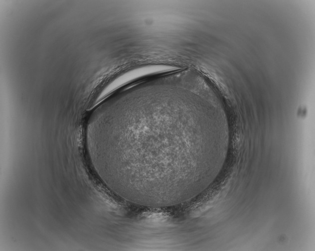 X0000091010689200708091602