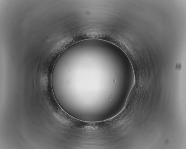 X0000091010690200708091602