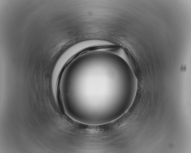 X0000091010693200708091602