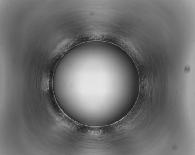 X0000091010694200708091602