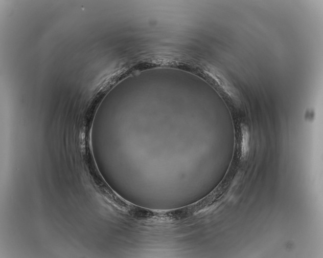 X0000091010696200708091602